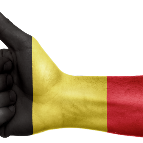 Bron: https://pixabay.com/en/belgium-flag-hand-national-fingers-990428/