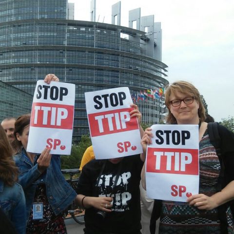 TTIP-demonstratie, Straatsburg, 10 juni 2015